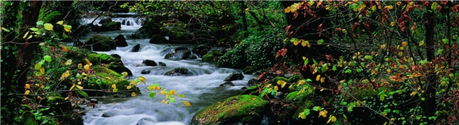 Cabecera Ayuntamiento de Cangas del Narca. Río y naturaleza