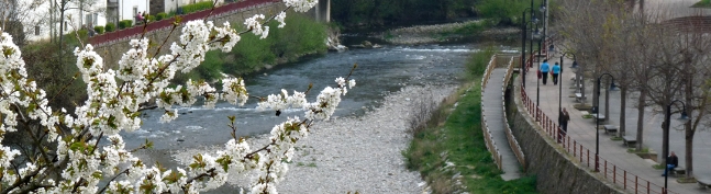 Cabecera Ayuntamiento de Cangas del Narca. Primavera 1. Los Nogales
