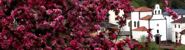 Cabecera Ayuntamiento de Cangas del Narca. Primavera 3. Ambasaguas
