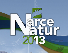 Banner de Narcenatur