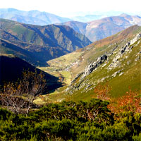 Rutas por donde camina el Oso