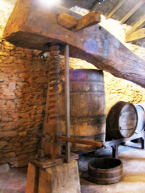 Museo del Vino
