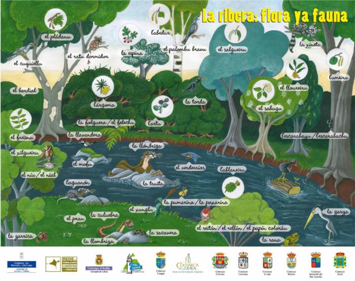 Nombres propios vinculados a la ribera