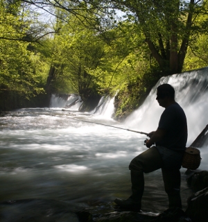 Pescador en el río Narcea