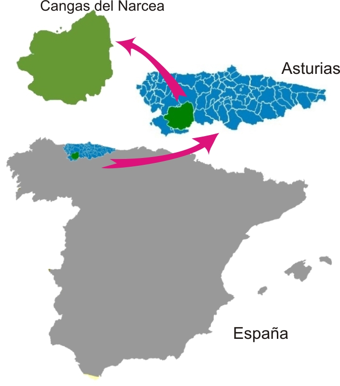 Localización del Cangas del Narcea en España y Asturias